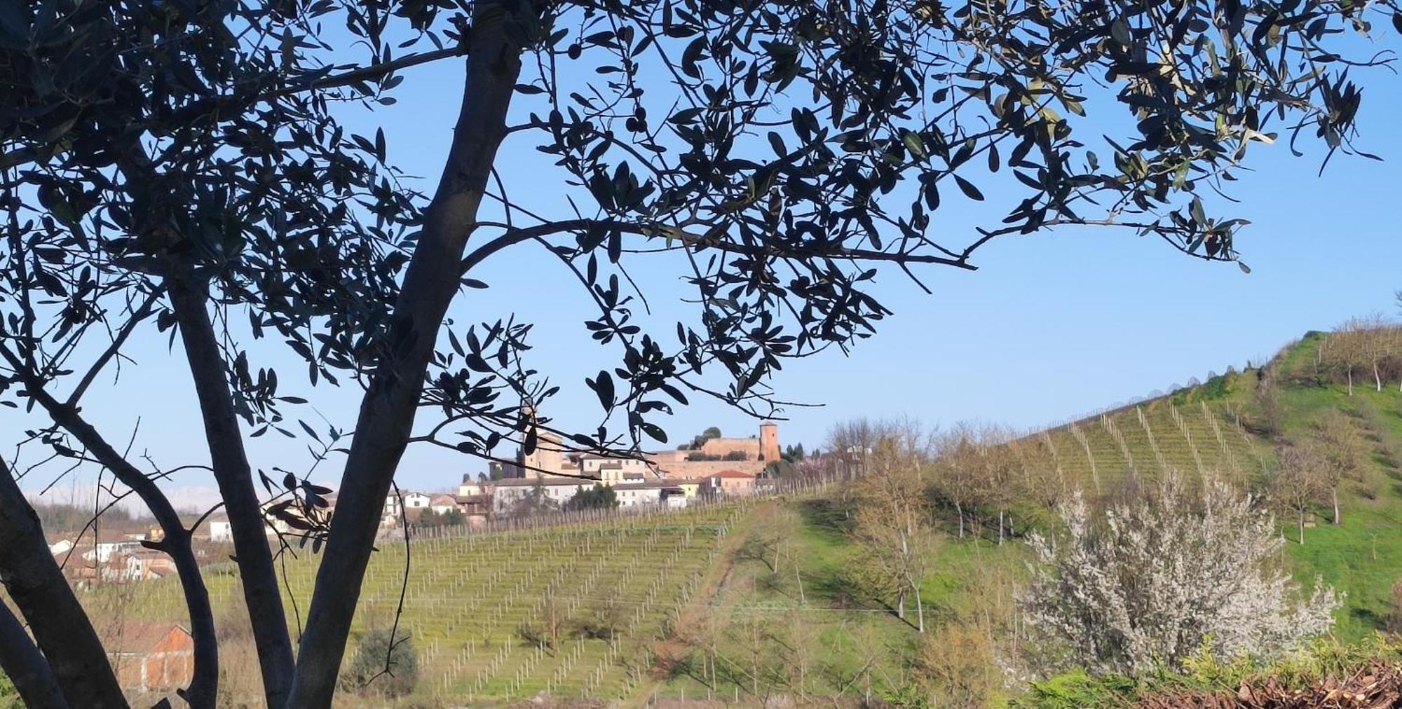 Casa San Rocco Villa Castelnuovo  Eksteriør bilde